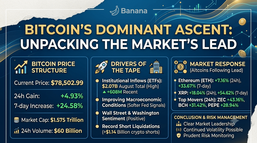 Bitcoin's Dominant Ascent: Unpacking the Market's Lead